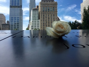 Rose at memorial